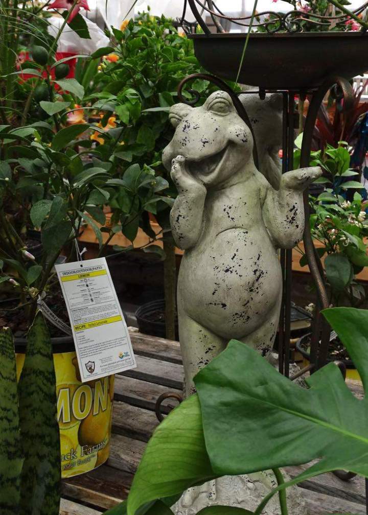 0561b267 cc0c 412d a438 9aacc61586e0