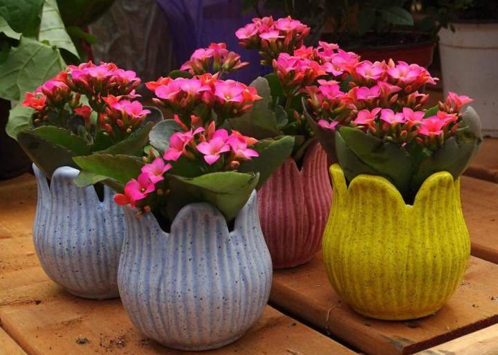 18641499 71cb 4d64 abe0 0c9cae323998