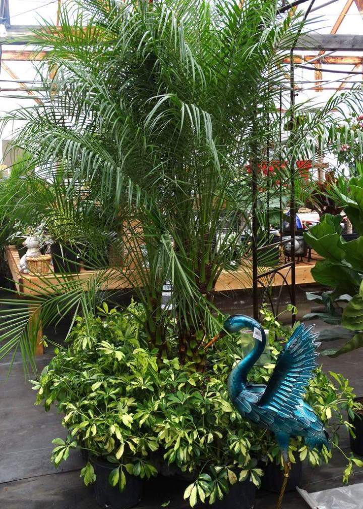 2ec19c2c 62f6 4851 9aaa 2c2a6e8aa9d2