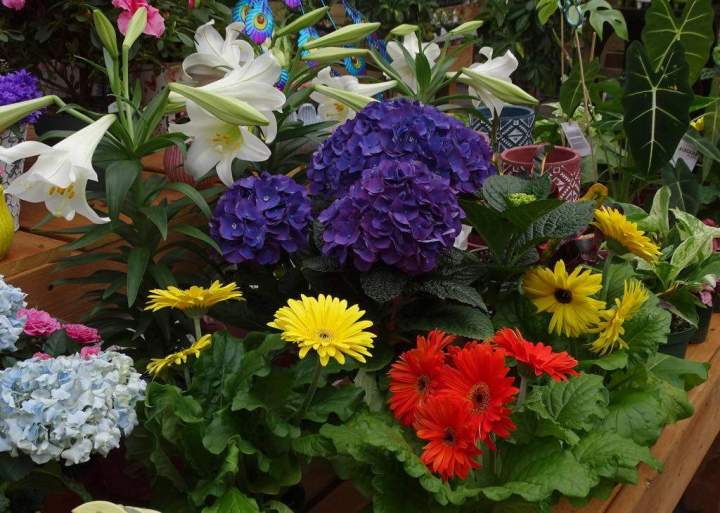 390631e7 cebb 4f17 be85 7d7e7fdab1cc