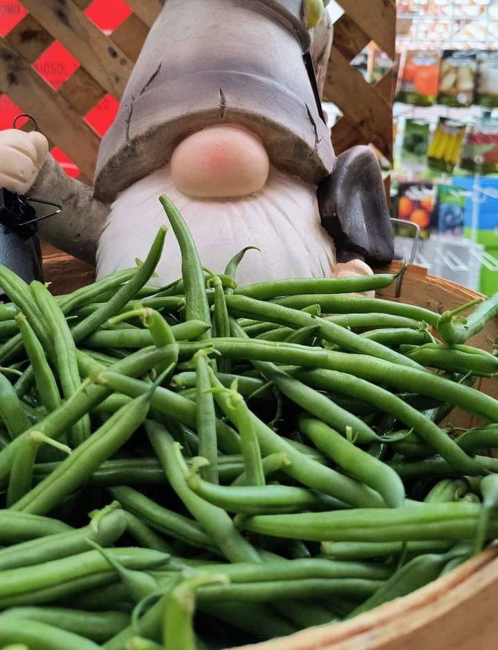 Légumes Jonquière