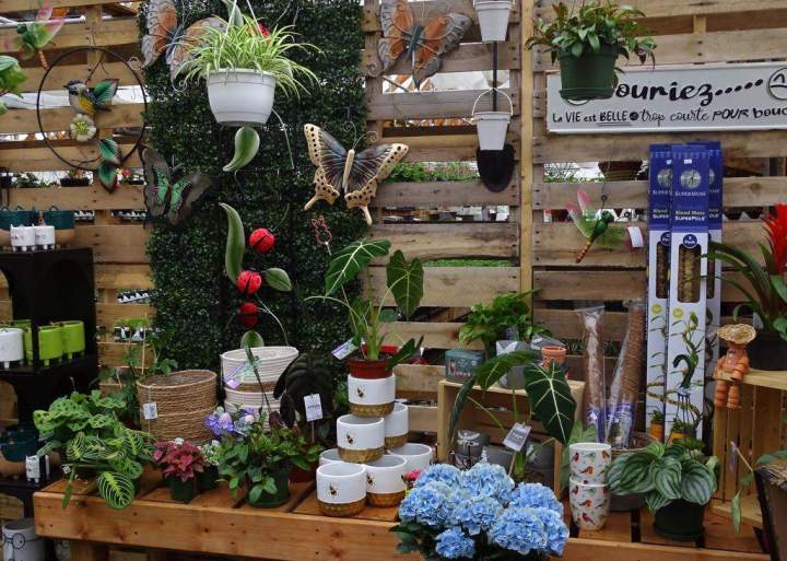 97763735 740d 4aea b0ce 11f0923b71d5