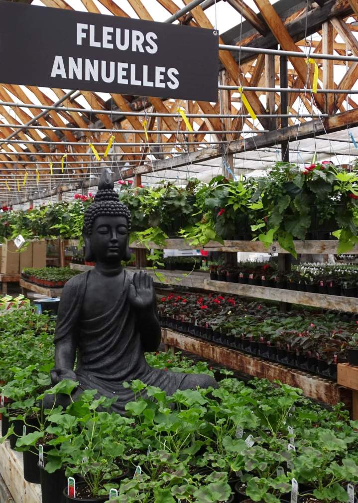 Horticulture Jonquière