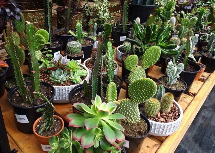 aaea1b53 48d9 4c5b 95c7 ecddddb8c7f6