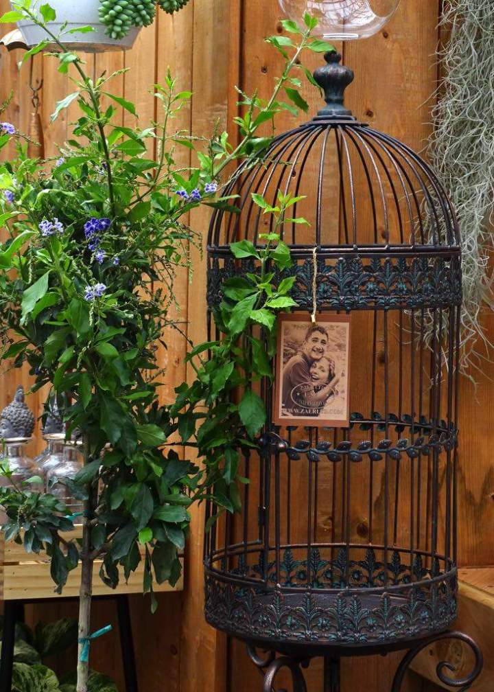 ac38f77a cee9 4ca7 af98 a7062443ea12